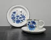 3teilig Gedeck Stonehenge Midwinter Spring blue 70er Jahre , Tasse mit Untere & Kuchenteller