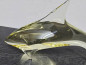 Preview: ZBS Citrin Glas Delfin