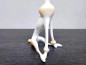 Preview: Ceramano REA Herbst