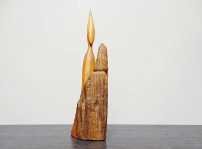 teak reiher