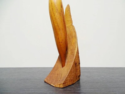 teak reiher