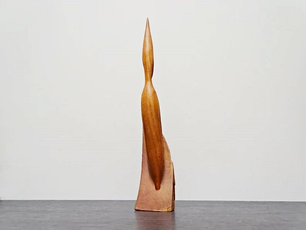 teak reiher