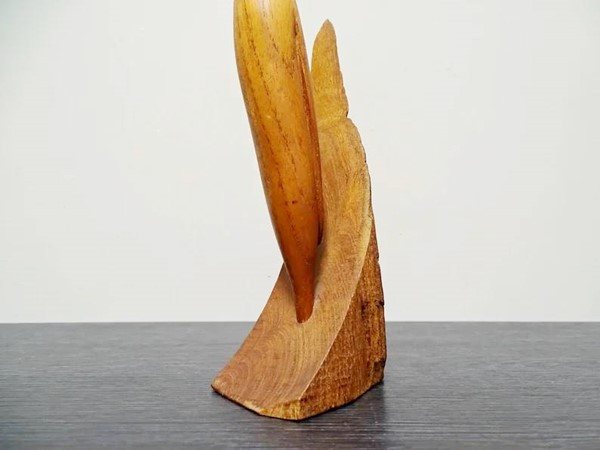 teak reiher