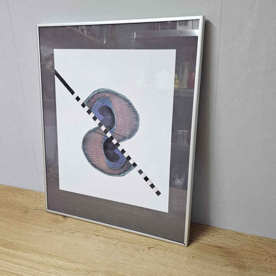 Vintage-Pfauenfeder-Druck (40 × 49 cm) – diagonale Grafik, Edelstahl-Rahmen, 80/90er Jahre