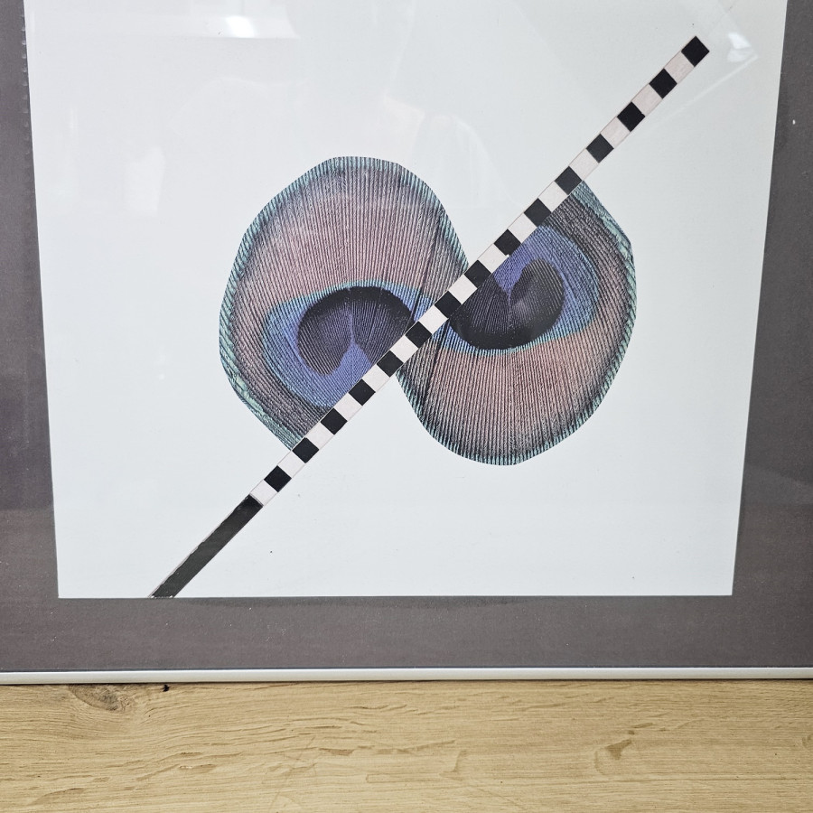 Vintage-Pfauenfeder-Druck (40 × 49 cm) – diagonale Grafik, Edelstahl-Rahmen, 80/90er Jahre