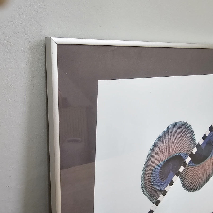 Vintage-Pfauenfeder-Druck (40 × 49 cm) – diagonale Grafik, Edelstahl-Rahmen, 80/90er Jahre