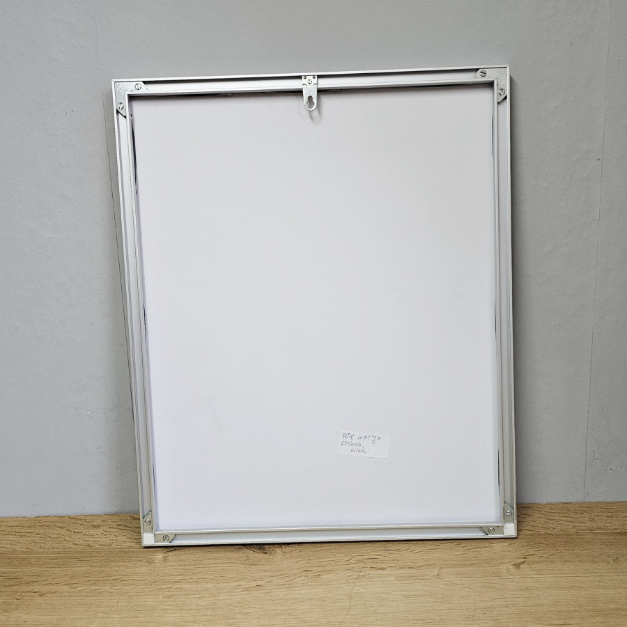 Vintage-Pfauenfeder-Druck (40 × 49 cm) – diagonale Grafik, Edelstahl-Rahmen, 80/90er Jahre